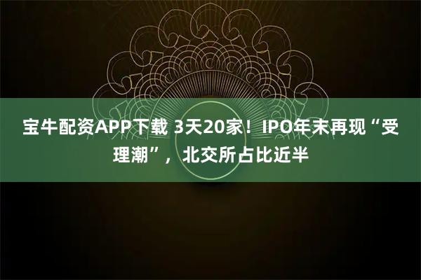宝牛配资APP下载 3天20家！IPO年末再现“受理潮”，北交所占比近半