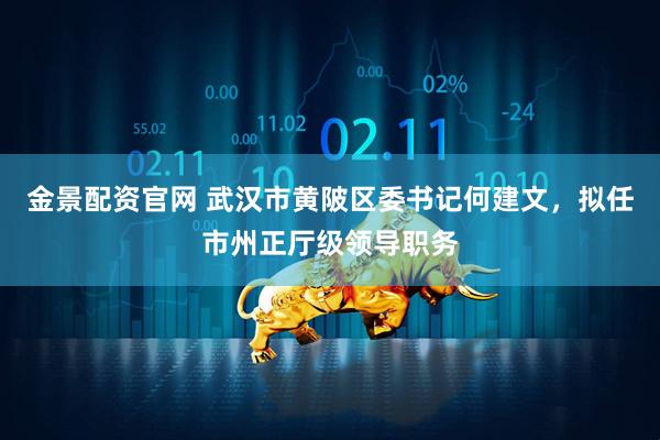 金景配资官网 武汉市黄陂区委书记何建文，拟任市州正厅级领导职务